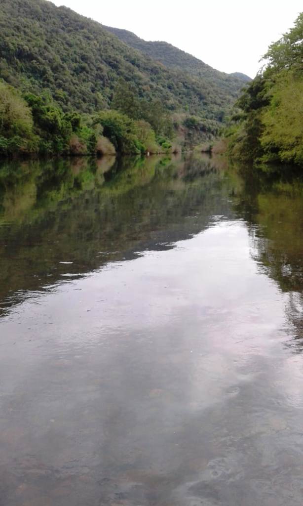 B-544     ÁREA DE TERRAS (20,00 Ha) FAZENDO DIVISA COM O RIO CAÍ !!!!