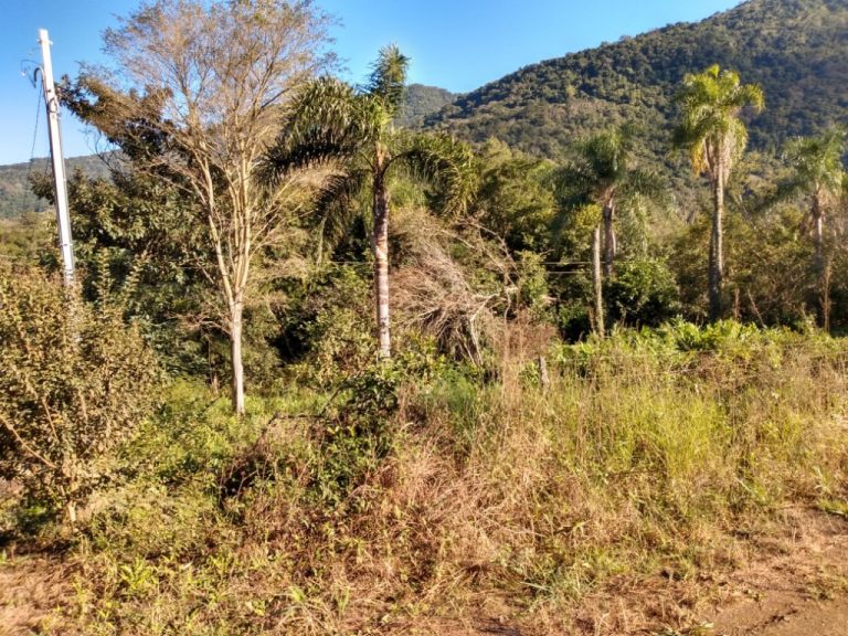 B-544     ÁREA DE TERRAS (20,00 Ha) FAZENDO DIVISA COM O RIO CAÍ !!!!