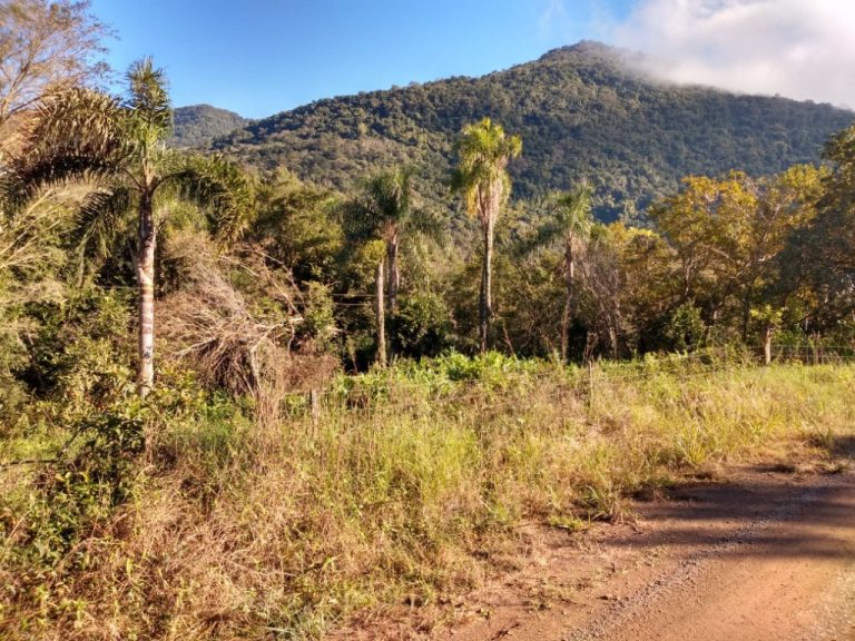 B-544     ÁREA DE TERRAS (20,00 Ha) FAZENDO DIVISA COM O RIO CAÍ !!!!