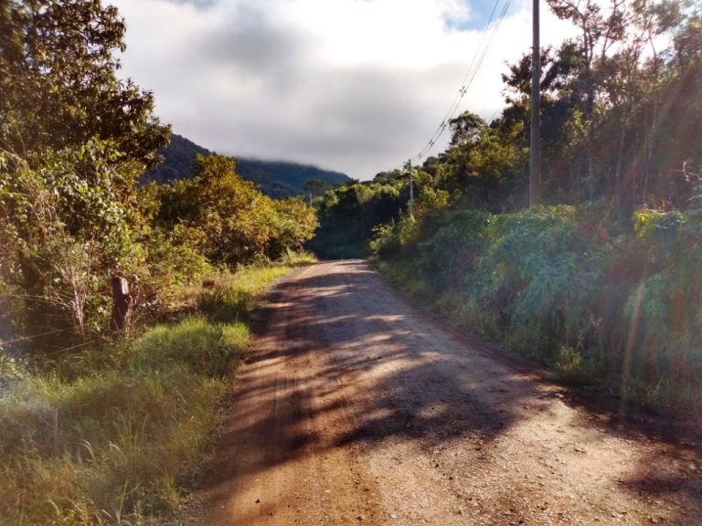 B-544     ÁREA DE TERRAS (20,00 Ha) FAZENDO DIVISA COM O RIO CAÍ !!!!
