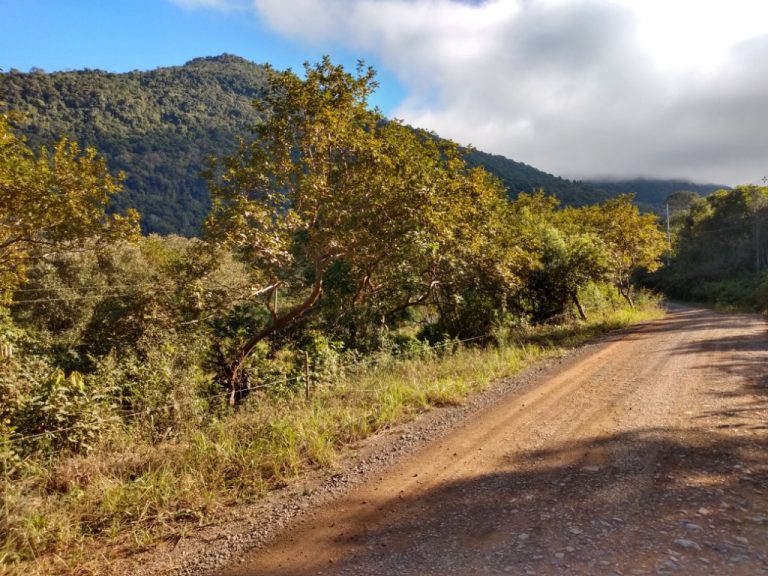 B-544     ÁREA DE TERRAS (20,00 Ha) FAZENDO DIVISA COM O RIO CAÍ !!!!