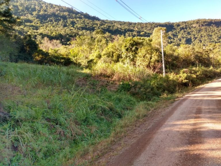 B-544     ÁREA DE TERRAS (20,00 Ha) FAZENDO DIVISA COM O RIO CAÍ !!!!