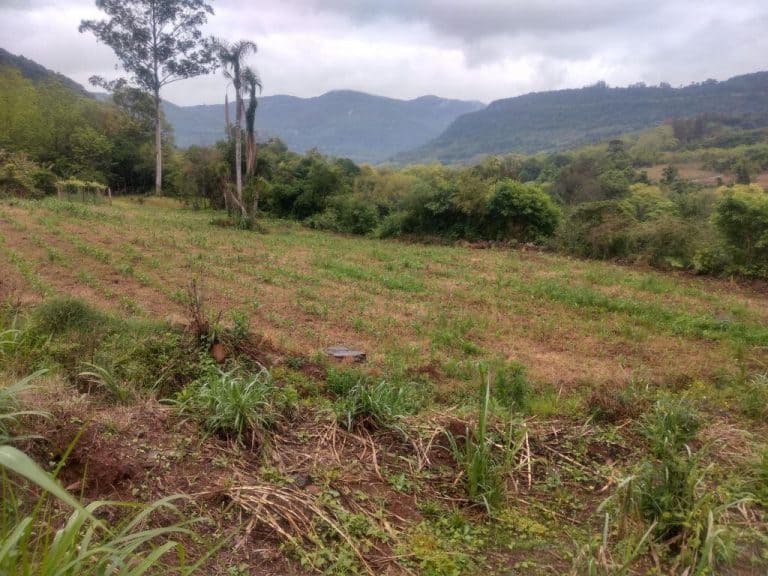 B-544     ÁREA DE TERRAS (20,00 Ha) FAZENDO DIVISA COM O RIO CAÍ !!!!