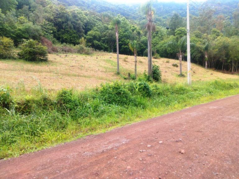 B-544     ÁREA DE TERRAS (20,00 Ha) FAZENDO DIVISA COM O RIO CAÍ !!!!