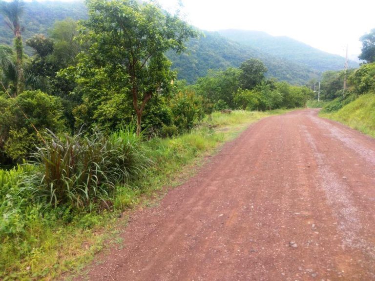 B-544     ÁREA DE TERRAS (20,00 Ha) FAZENDO DIVISA COM O RIO CAÍ !!!!