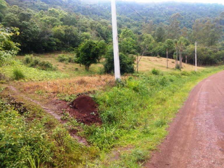 B-544     ÁREA DE TERRAS (20,00 Ha) FAZENDO DIVISA COM O RIO CAÍ !!!!