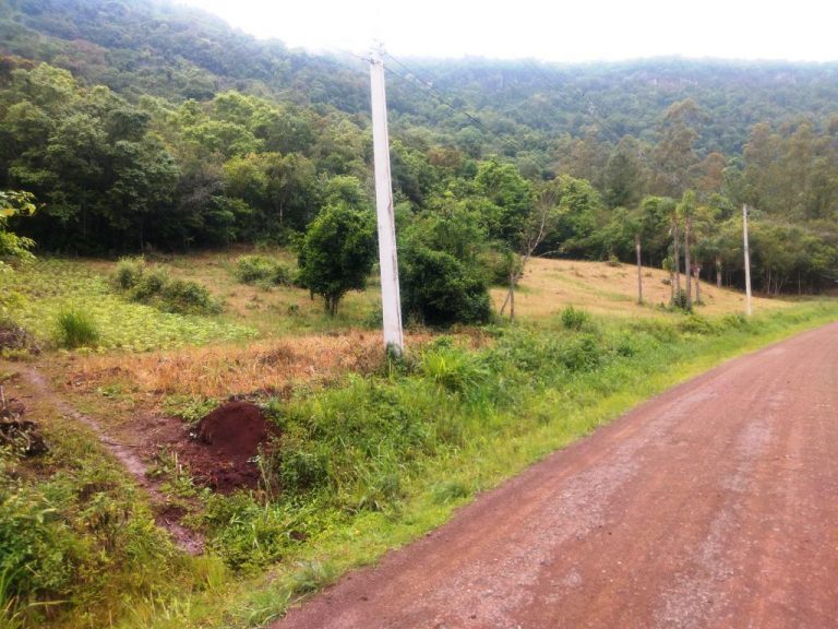 B-544     ÁREA DE TERRAS (20,00 Ha) FAZENDO DIVISA COM O RIO CAÍ !!!!