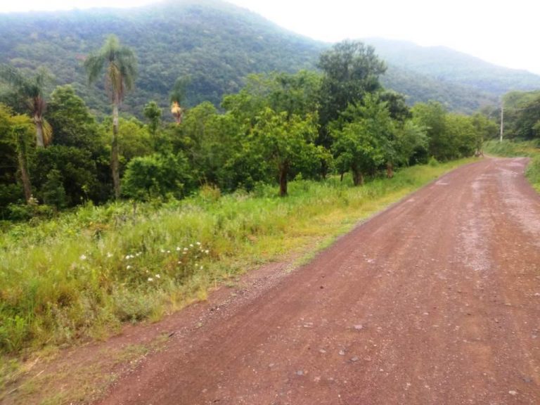 B-544     ÁREA DE TERRAS (20,00 Ha) FAZENDO DIVISA COM O RIO CAÍ !!!!