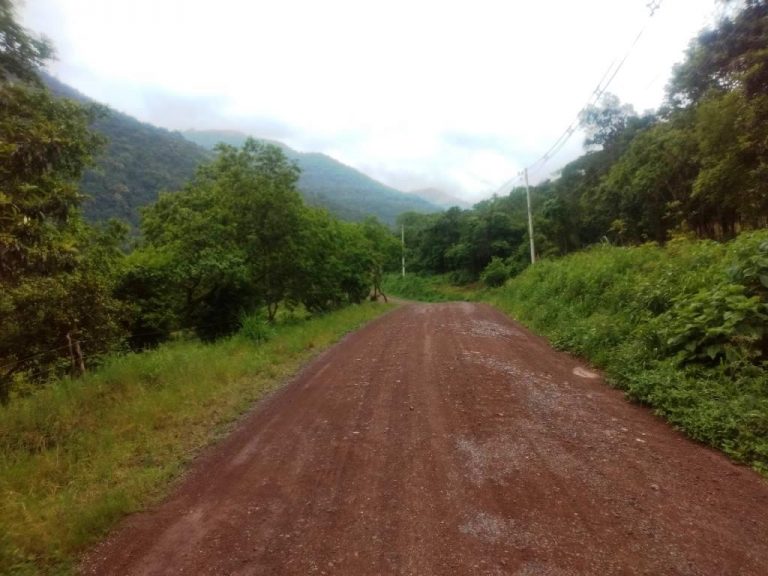 B-544     ÁREA DE TERRAS (20,00 Ha) FAZENDO DIVISA COM O RIO CAÍ !!!!