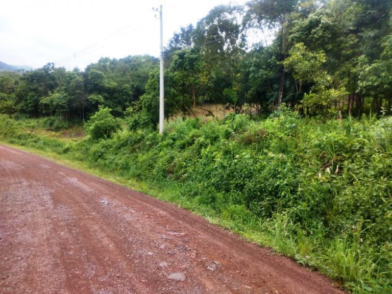 B-544     ÁREA DE TERRAS (20,00 Ha) FAZENDO DIVISA COM O RIO CAÍ !!!!