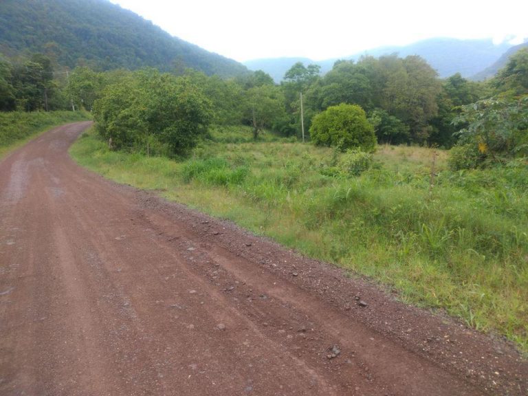 B-544     ÁREA DE TERRAS (20,00 Ha) FAZENDO DIVISA COM O RIO CAÍ !!!!