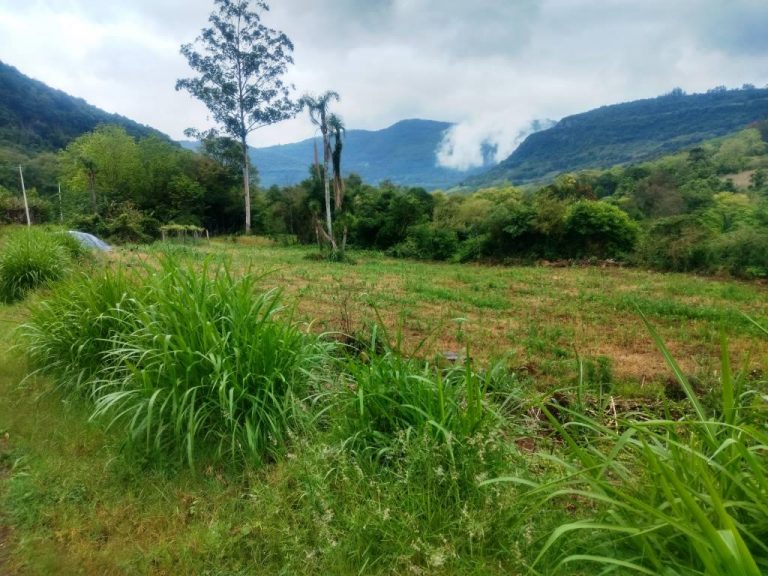 B-544     ÁREA DE TERRAS (20,00 Ha) FAZENDO DIVISA COM O RIO CAÍ !!!!