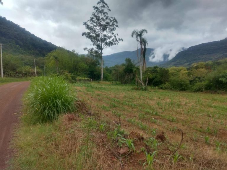 B-544     ÁREA DE TERRAS (20,00 Ha) FAZENDO DIVISA COM O RIO CAÍ !!!!