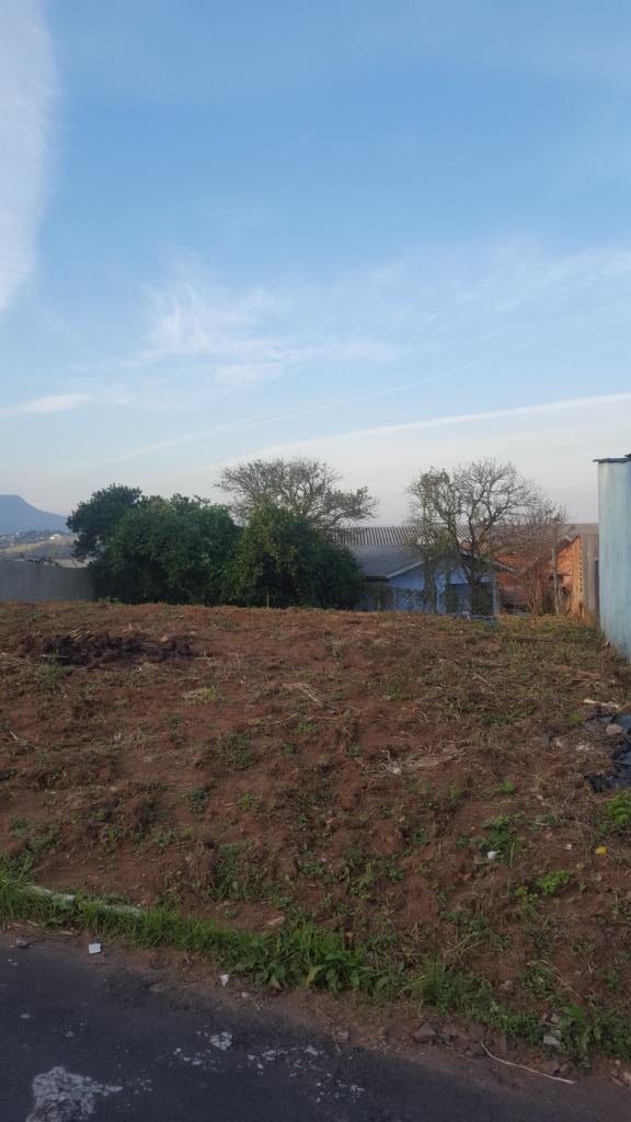 B-118     TERRENO EM CAMPO BOM