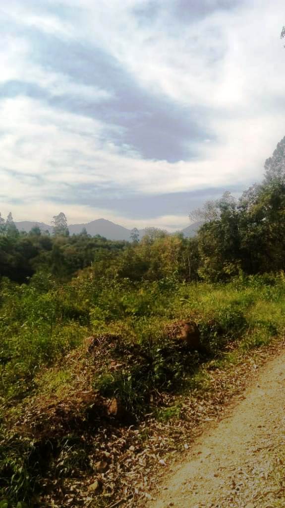 B-450     LINDO SÍTIO NA LOCALIDADE DE TIROL – NOVA PETRÓPOLIS!!!