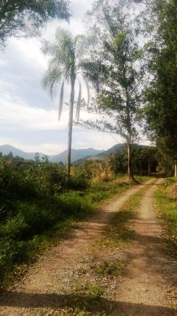 B-450     LINDO SÍTIO NA LOCALIDADE DE TIROL – NOVA PETRÓPOLIS!!!