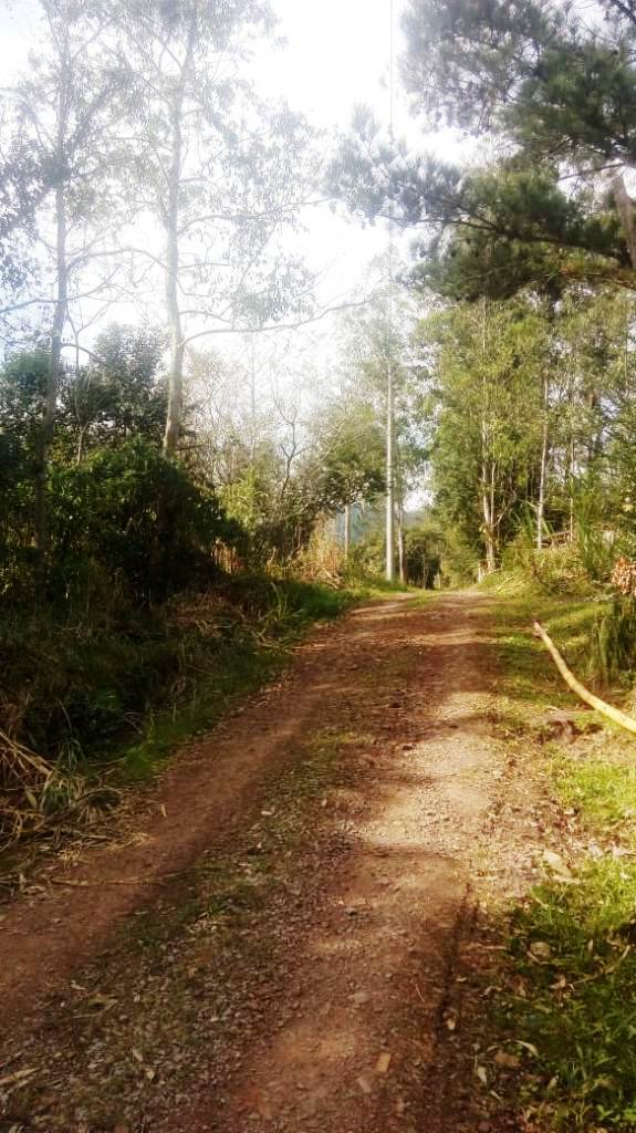 B-450     LINDO SÍTIO NA LOCALIDADE DE TIROL – NOVA PETRÓPOLIS!!!