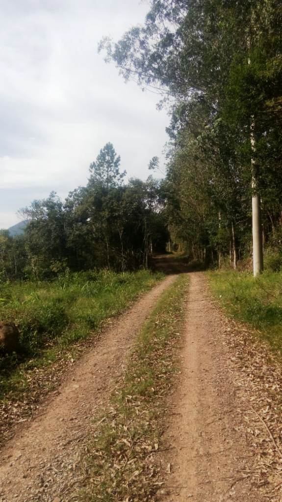 B-450     LINDO SÍTIO NA LOCALIDADE DE TIROL – NOVA PETRÓPOLIS!!!