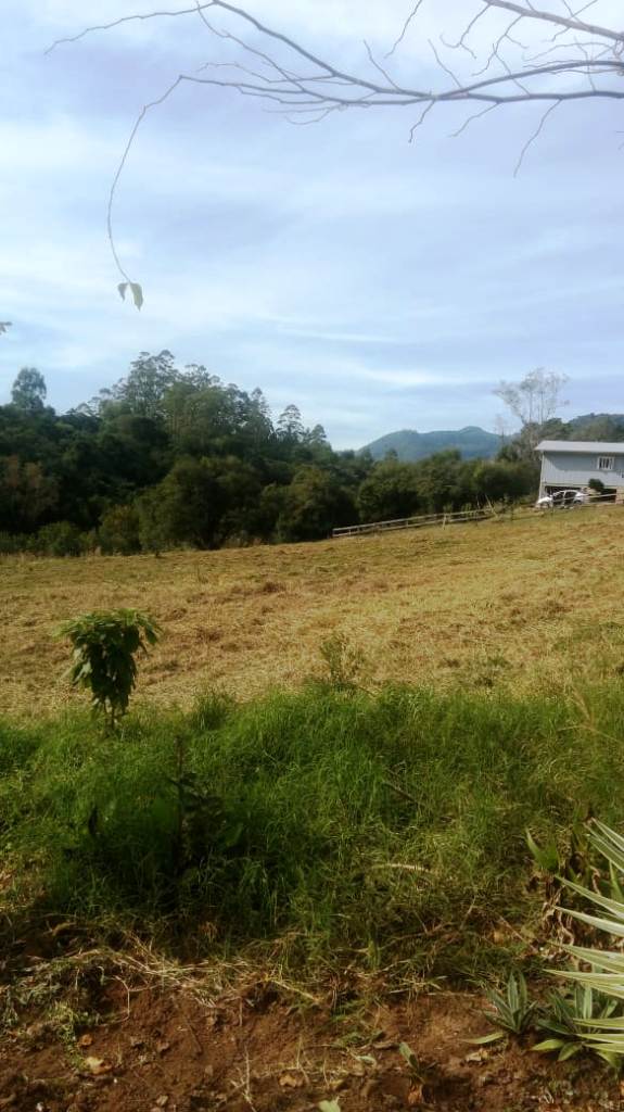 B-450     LINDO SÍTIO NA LOCALIDADE DE TIROL – NOVA PETRÓPOLIS!!!