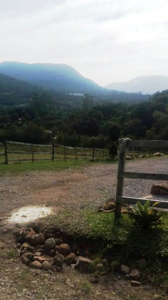 B-450     LINDO SÍTIO NA LOCALIDADE DE TIROL – NOVA PETRÓPOLIS!!!