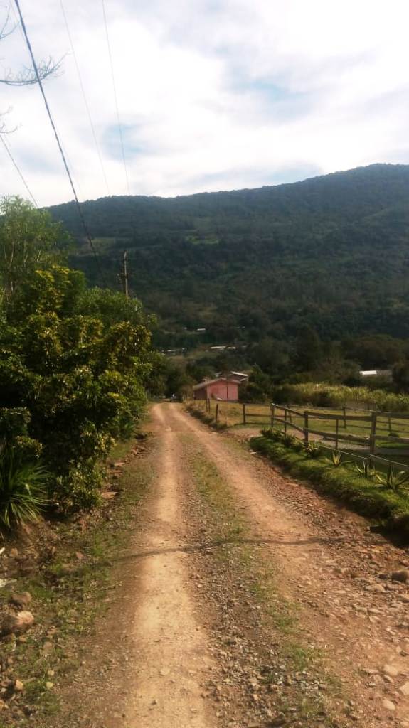 B-450     LINDO SÍTIO NA LOCALIDADE DE TIROL – NOVA PETRÓPOLIS!!!