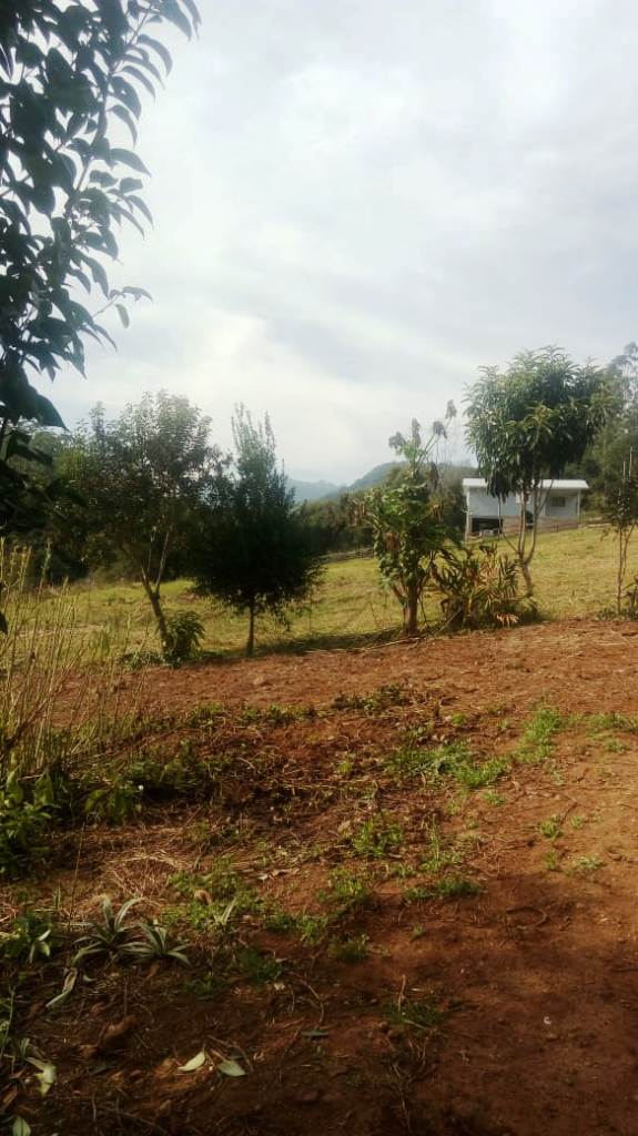 B-450     LINDO SÍTIO NA LOCALIDADE DE TIROL – NOVA PETRÓPOLIS!!!