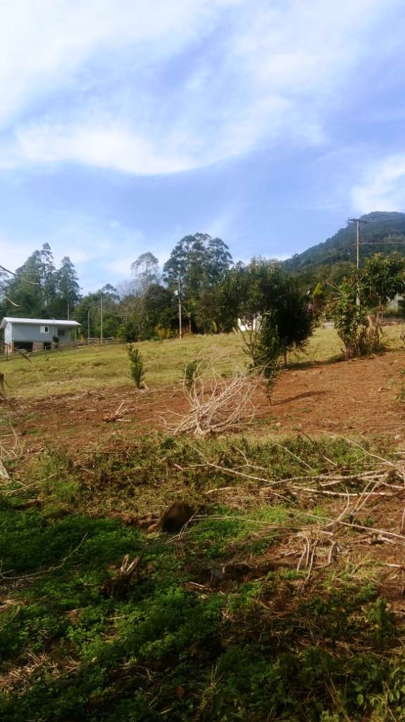 B-450     LINDO SÍTIO NA LOCALIDADE DE TIROL – NOVA PETRÓPOLIS!!!