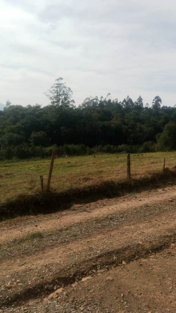 B-450     LINDO SÍTIO NA LOCALIDADE DE TIROL – NOVA PETRÓPOLIS!!!