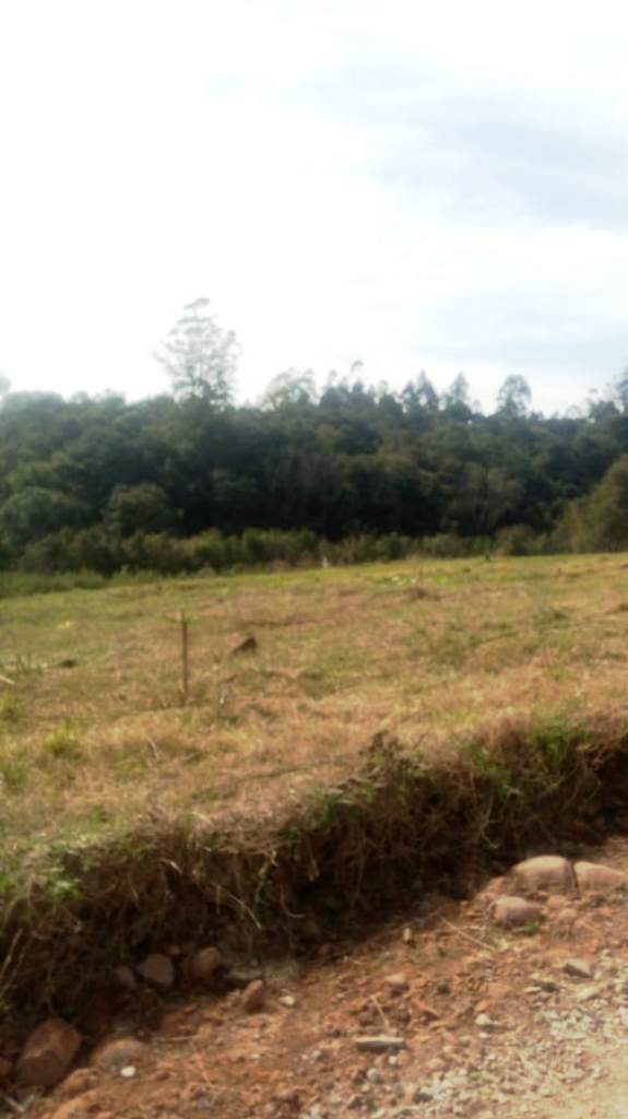 B-450     LINDO SÍTIO NA LOCALIDADE DE TIROL – NOVA PETRÓPOLIS!!!