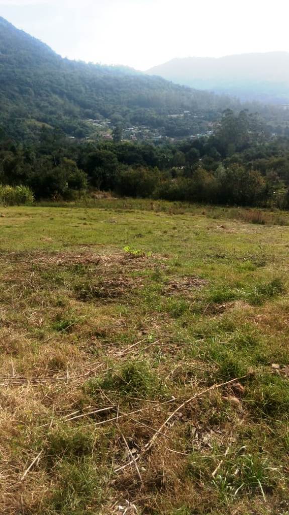 B-450     LINDO SÍTIO NA LOCALIDADE DE TIROL – NOVA PETRÓPOLIS!!!