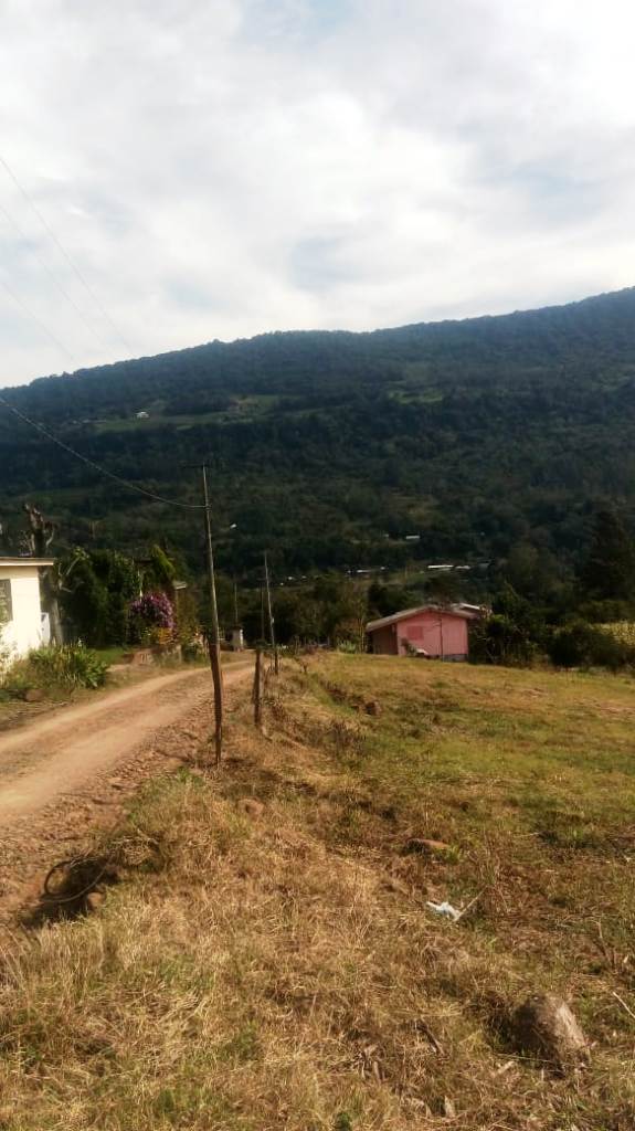 B-450     LINDO SÍTIO NA LOCALIDADE DE TIROL – NOVA PETRÓPOLIS!!!