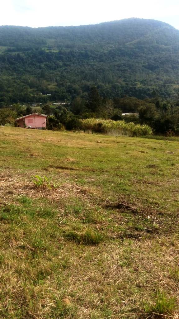 B-450     LINDO SÍTIO NA LOCALIDADE DE TIROL – NOVA PETRÓPOLIS!!!