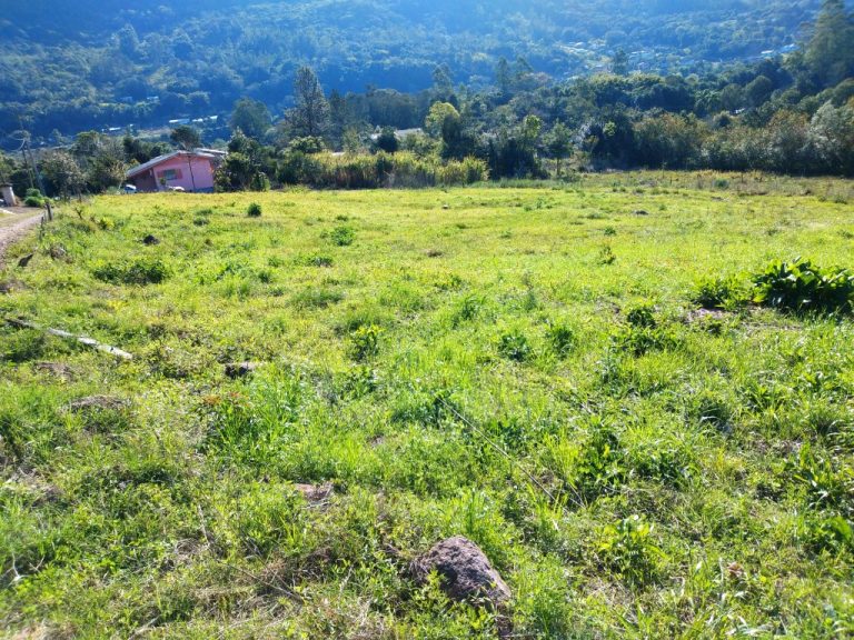 B-450     LINDO SÍTIO NA LOCALIDADE DE TIROL – NOVA PETRÓPOLIS!!!