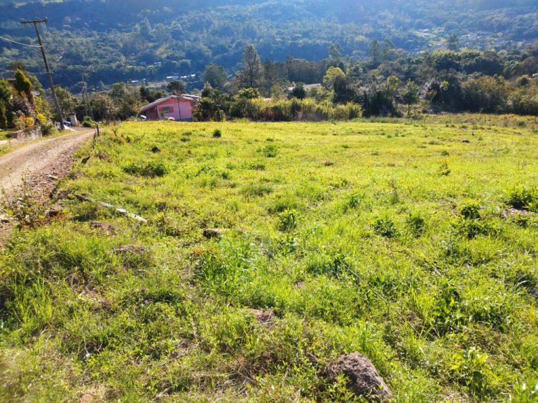B-450     LINDO SÍTIO NA LOCALIDADE DE TIROL – NOVA PETRÓPOLIS!!!