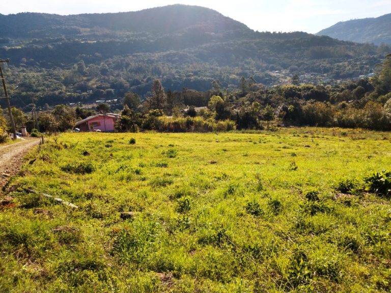 B-450     LINDO SÍTIO NA LOCALIDADE DE TIROL – NOVA PETRÓPOLIS!!!