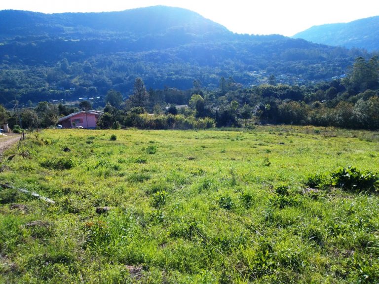 B-450     LINDO SÍTIO NA LOCALIDADE DE TIROL – NOVA PETRÓPOLIS!!!