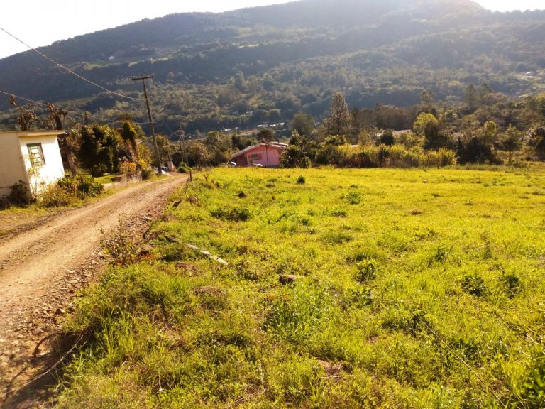 B-450     LINDO SÍTIO NA LOCALIDADE DE TIROL – NOVA PETRÓPOLIS!!!