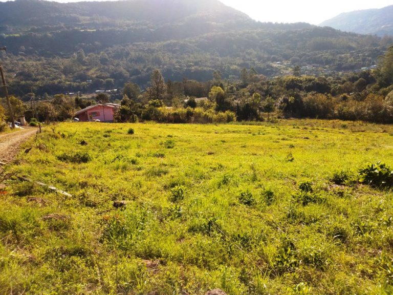 B-450     LINDO SÍTIO NA LOCALIDADE DE TIROL – NOVA PETRÓPOLIS!!!
