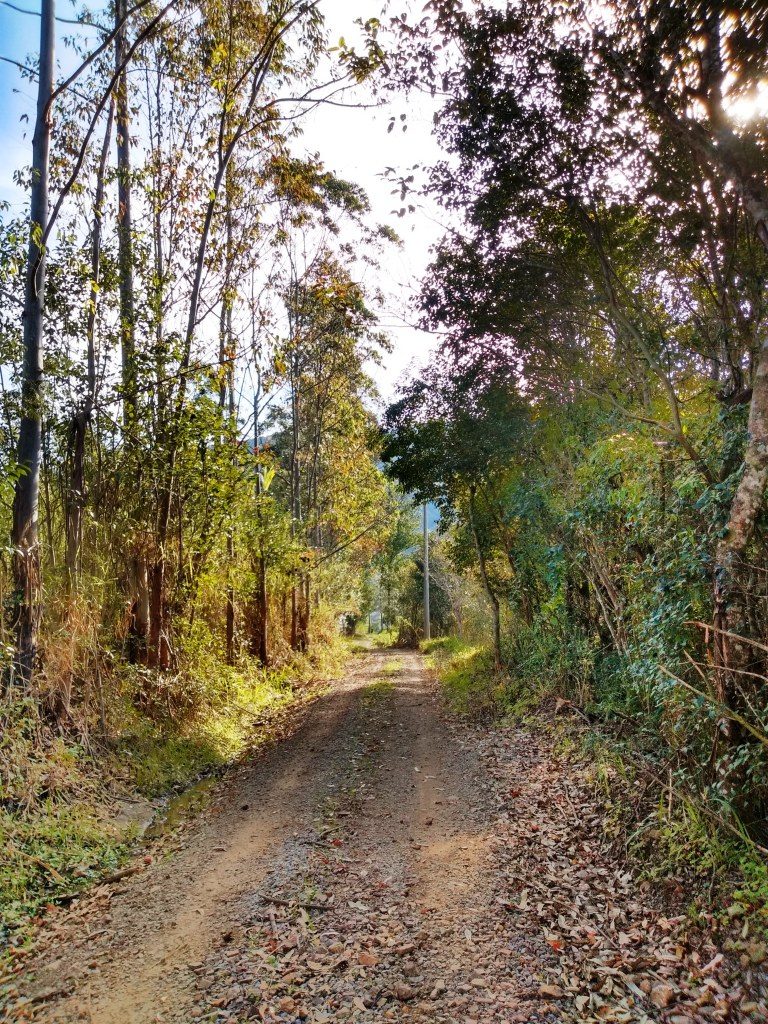 B-450     LINDO SÍTIO NA LOCALIDADE DE TIROL – NOVA PETRÓPOLIS!!!