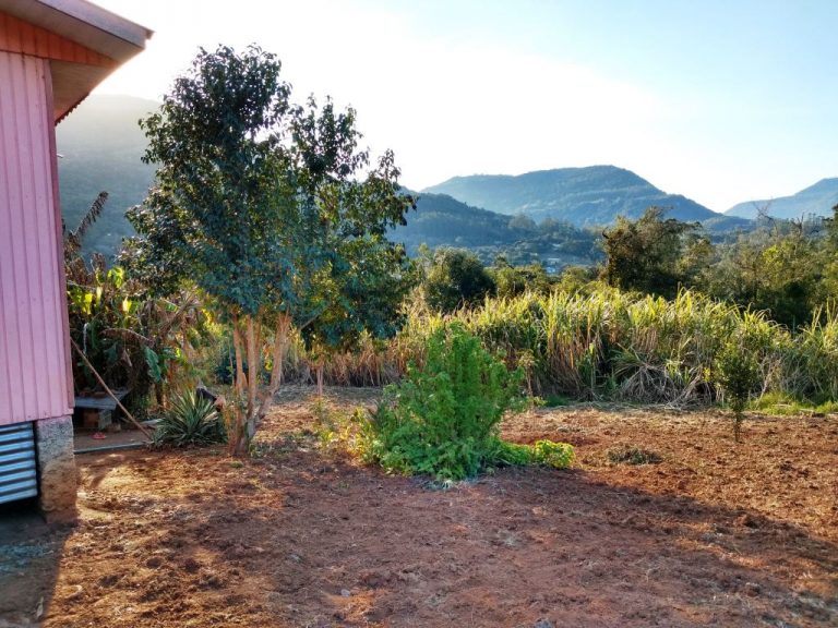 B-450     LINDO SÍTIO NA LOCALIDADE DE TIROL – NOVA PETRÓPOLIS!!!