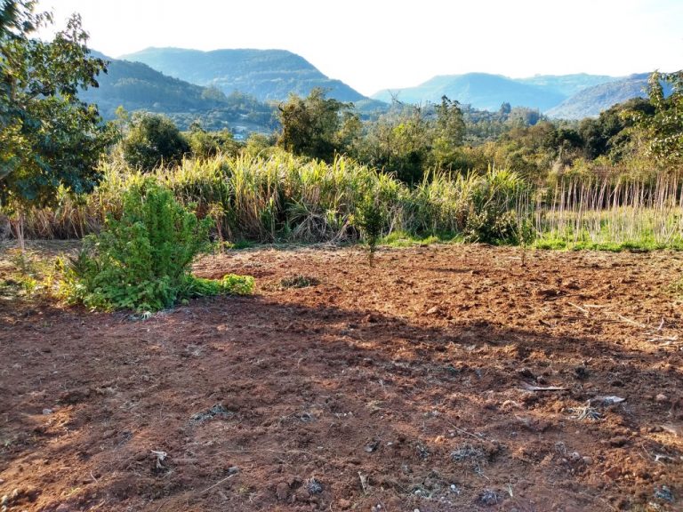 B-450     LINDO SÍTIO NA LOCALIDADE DE TIROL – NOVA PETRÓPOLIS!!!