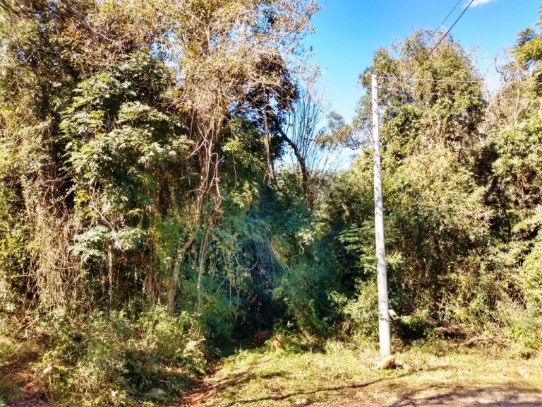 B-551     ÁREA DE TERRAS COM ÁGUA EM ABUNDÂNCIA E MUITO VERDE!!!!!!