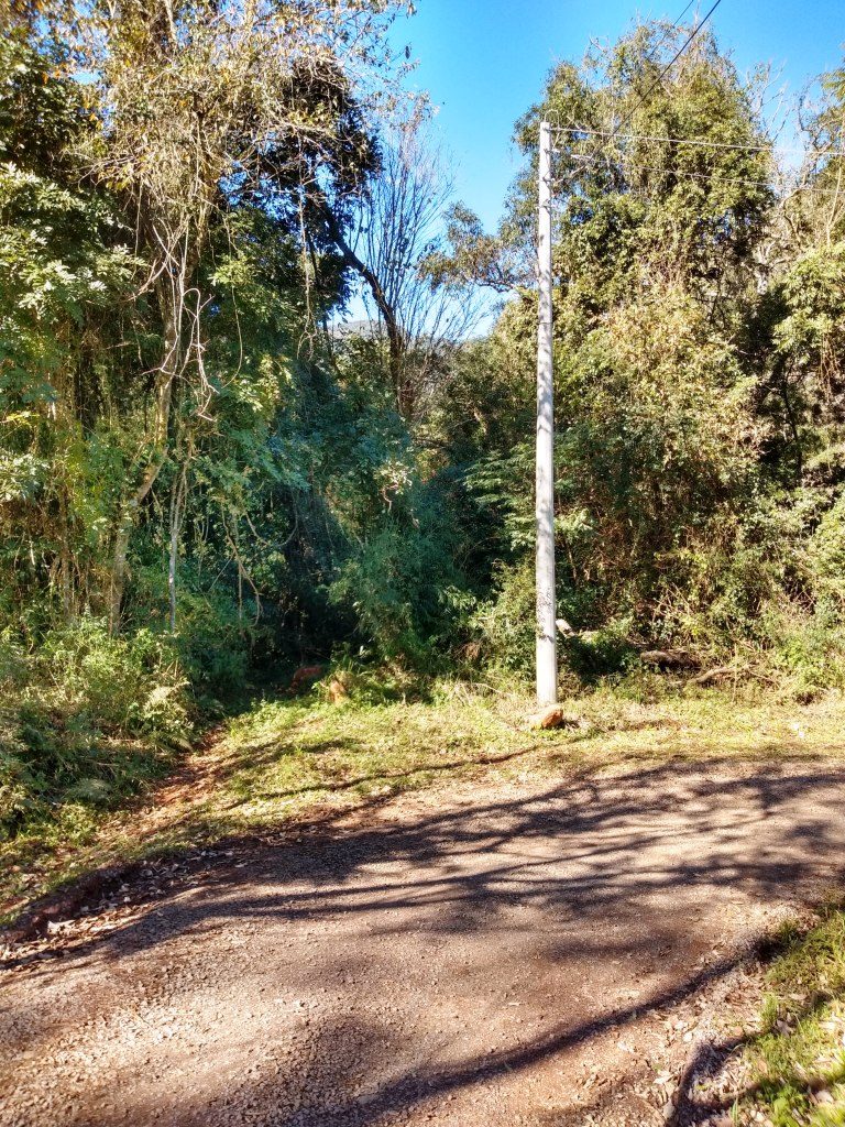 B-551     ÁREA DE TERRAS COM ÁGUA EM ABUNDÂNCIA E MUITO VERDE!!!!!!