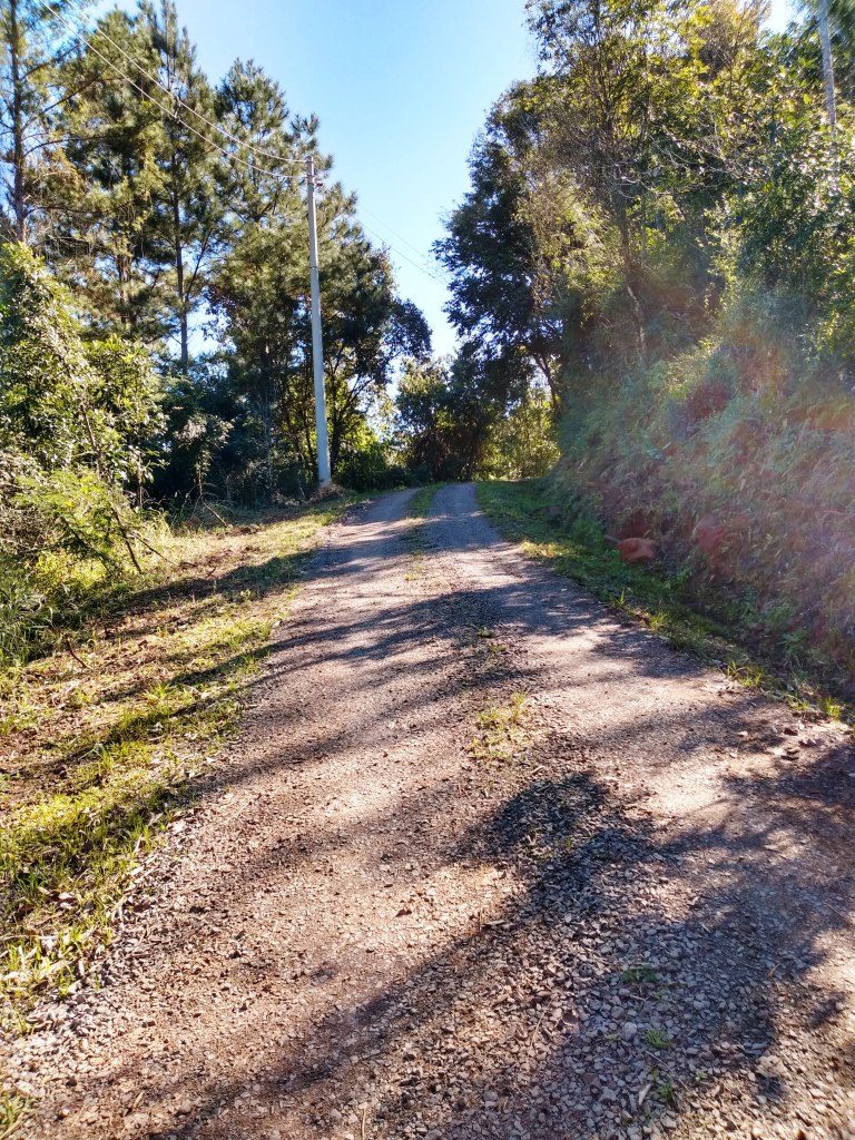 B-551     ÁREA DE TERRAS COM ÁGUA EM ABUNDÂNCIA E MUITO VERDE!!!!!!