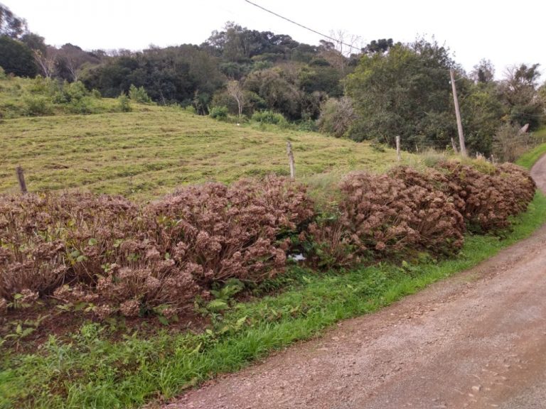 B-122   AMPLO TERRENO COM EXUBERANTE VISTA PANORÂMICA NA ENTRADA DA CIDADE!!!!