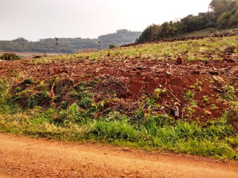 B-511     52,00 HA DE TERRAS NA LINHA OLINDA-NOVA PETRÓPOLIS!!!!