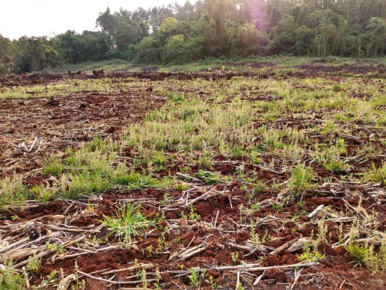 B-511     52,00 HA DE TERRAS NA LINHA OLINDA-NOVA PETRÓPOLIS!!!!