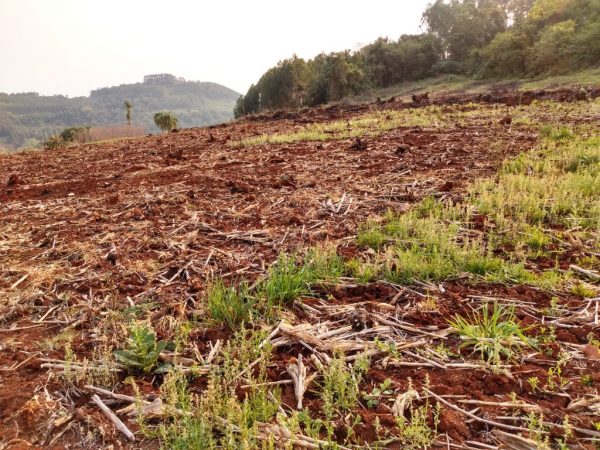 B-511     52,00 HA DE TERRAS NA LINHA OLINDA-NOVA PETRÓPOLIS!!!!