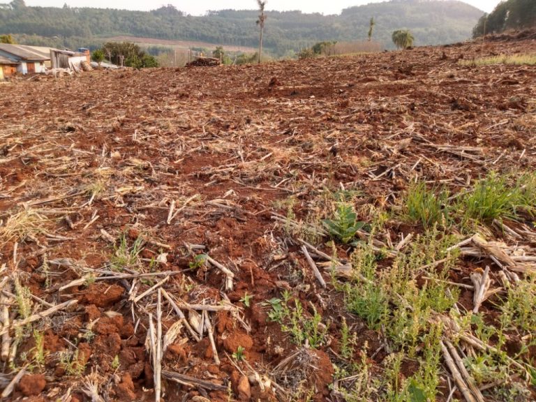 B-511     52,00 HA DE TERRAS NA LINHA OLINDA-NOVA PETRÓPOLIS!!!!