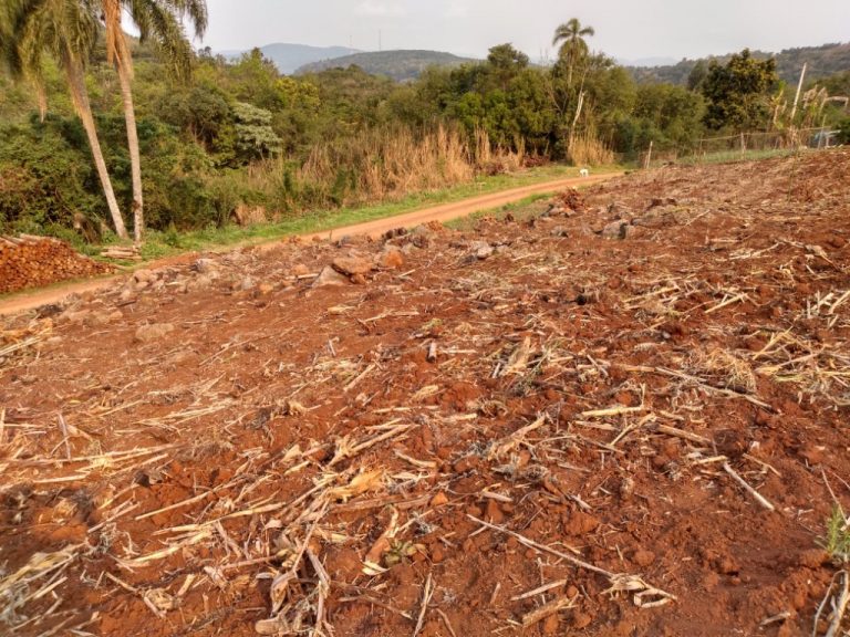 B-511     52,00 HA DE TERRAS NA LINHA OLINDA-NOVA PETRÓPOLIS!!!!